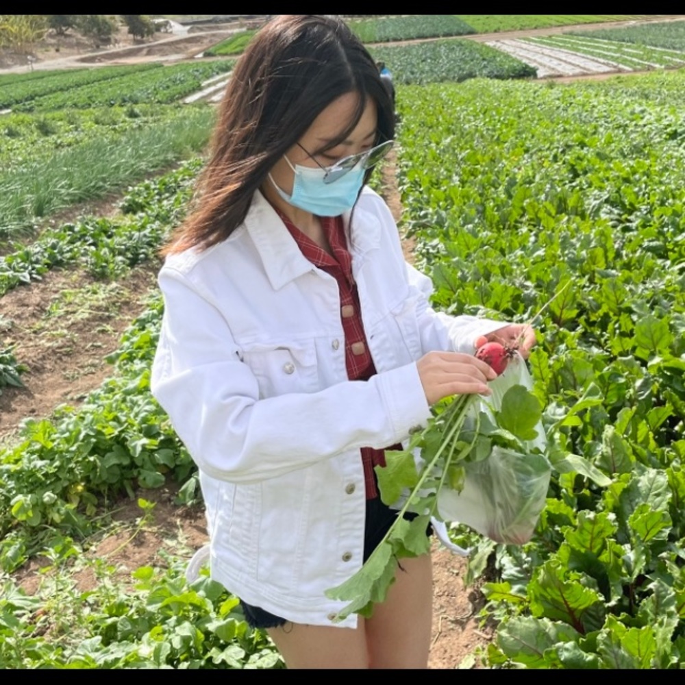 Meet your Posher, Xiaoxue